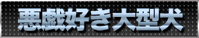 アツシ1